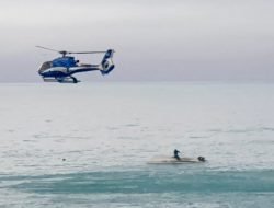 Lima Orang Tewas Setelah Kapal Wisatawan Bertabrakan Dengan Ikan Paus