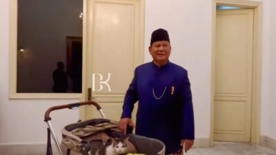 Bobby Kartanegara si Kucing Kesayangan Prabowo Resmi Ikut ke Istana