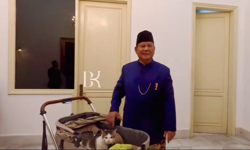 Bobby Kartanegara si Kucing Kesayangan Prabowo Resmi Ikut ke Istana