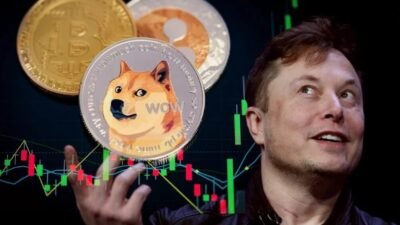 Dogecoin Melonjak Pesat saat Trump tunjuk Elon Musk jadi Kepala Departemen