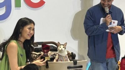 Kucing Prabowo Bobby Kertanegara Dapat Penghargaan dari Google Indonesia