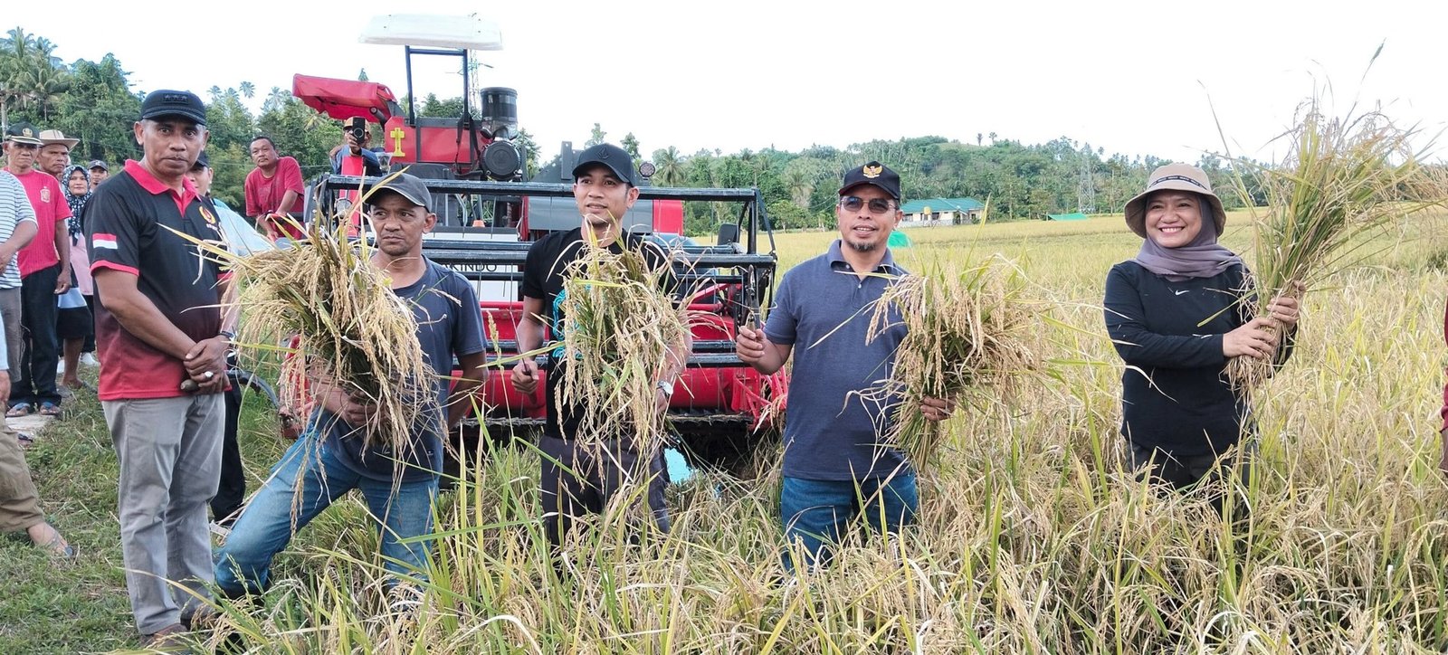 Bupati Bolmut SJL dan Wabup MAP Panen Perdana Padi di Desa Pontak