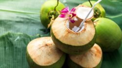 lustrasi manfaat air kelapa bagi tubuh manusia
