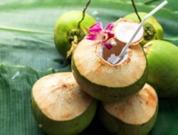 Manfaat Air Kelapa, Apa yang Terjadi pada Tubuh?