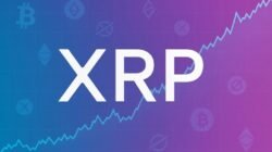 Grafik prediksi harga XRP tahun 2025 setelah naik 25 persen menunjukkan potensi tren bullish.