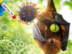 Virus Nipah: Karantina Banten Perketat Masuknya Hewan dari India di Bandara Soekarno-Hatta