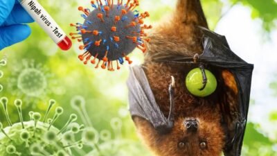 Petugas karantina memperketat pengawasan virus Nipah di Bandara Soekarno-Hatta