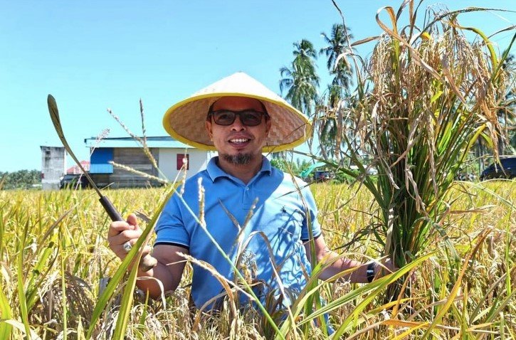 Bupati Bolmut saat panen padi bersama petani